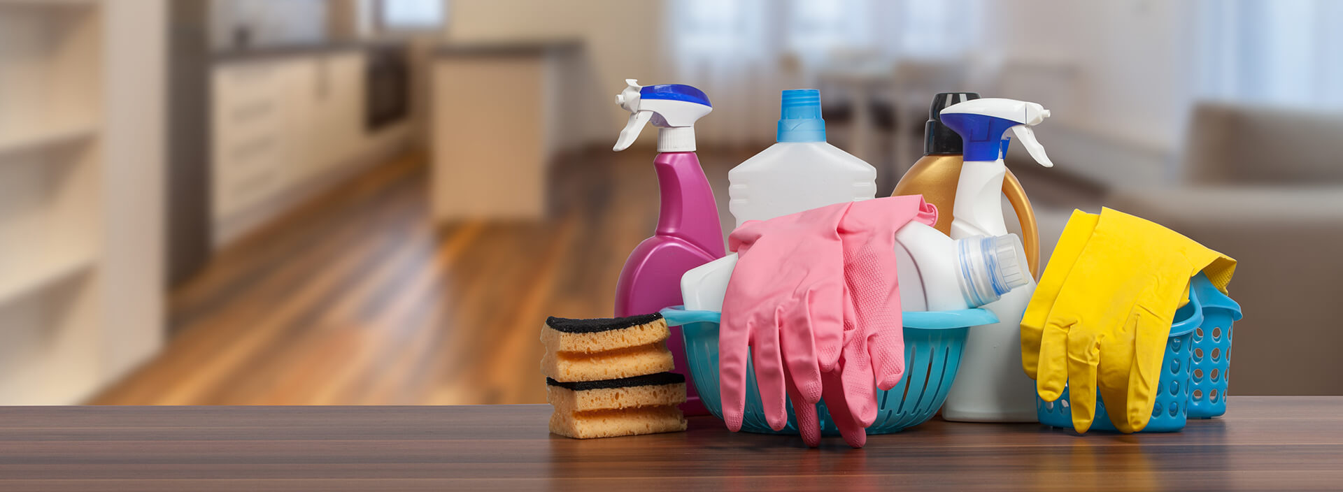 Janitorial Services